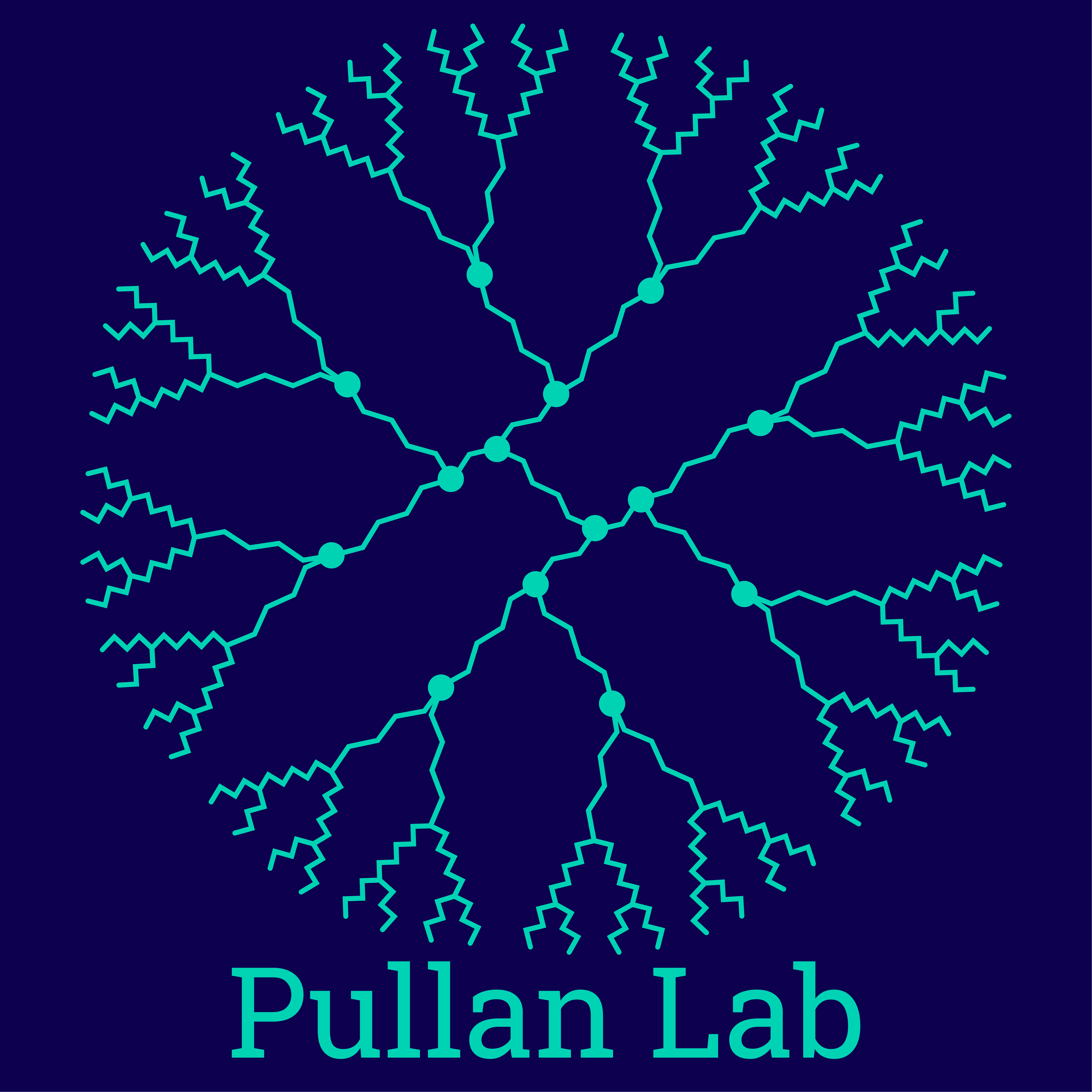 Pullan Lab